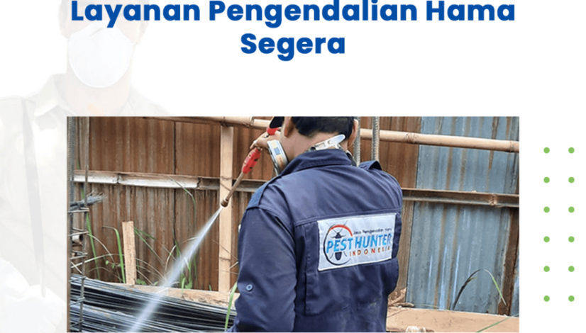 blog 5 Tanda Anda Membutuhkan Layanan Pengendalian Hama Segera
