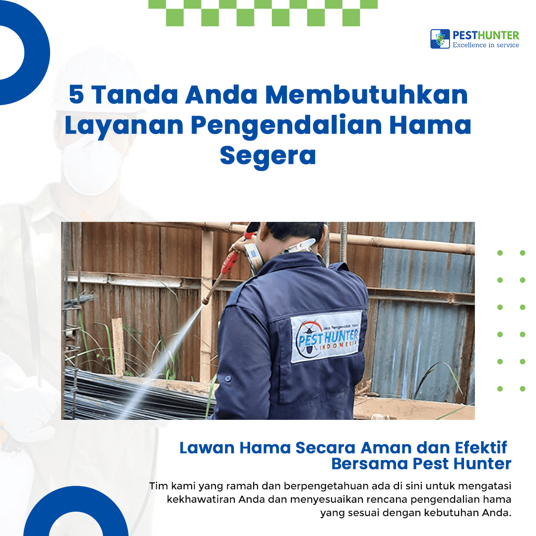 blog 5 Tanda Anda Membutuhkan Layanan Pengendalian Hama Segera
