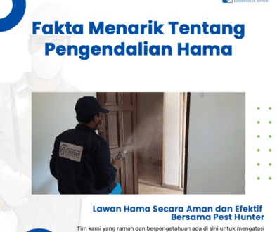 blog Fakta Menarik Tentang Pengendalian Hama