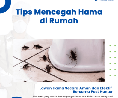 blog Tips Mencegah Hama di Rumah