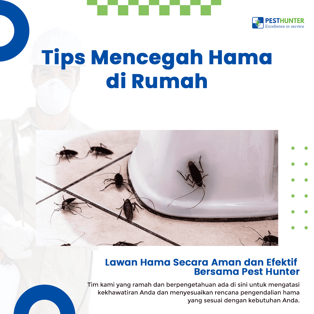 blog Tips Mencegah Hama di Rumah