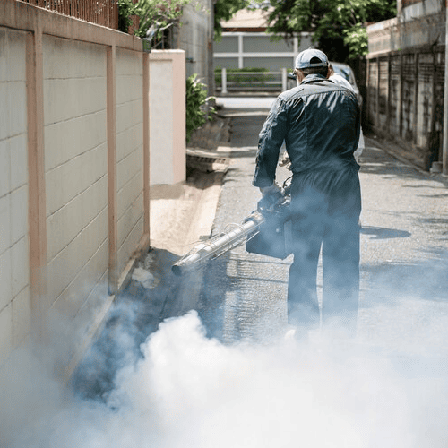 layanan_0002_Fogging-Nyamuk