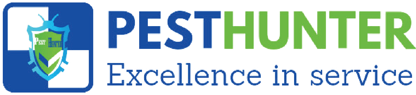 logo-01